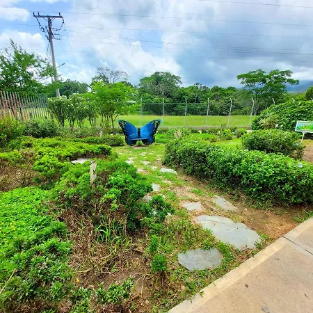 Apartamento En Ibague - Parque Deportivo, Patinodromo Exterior photo